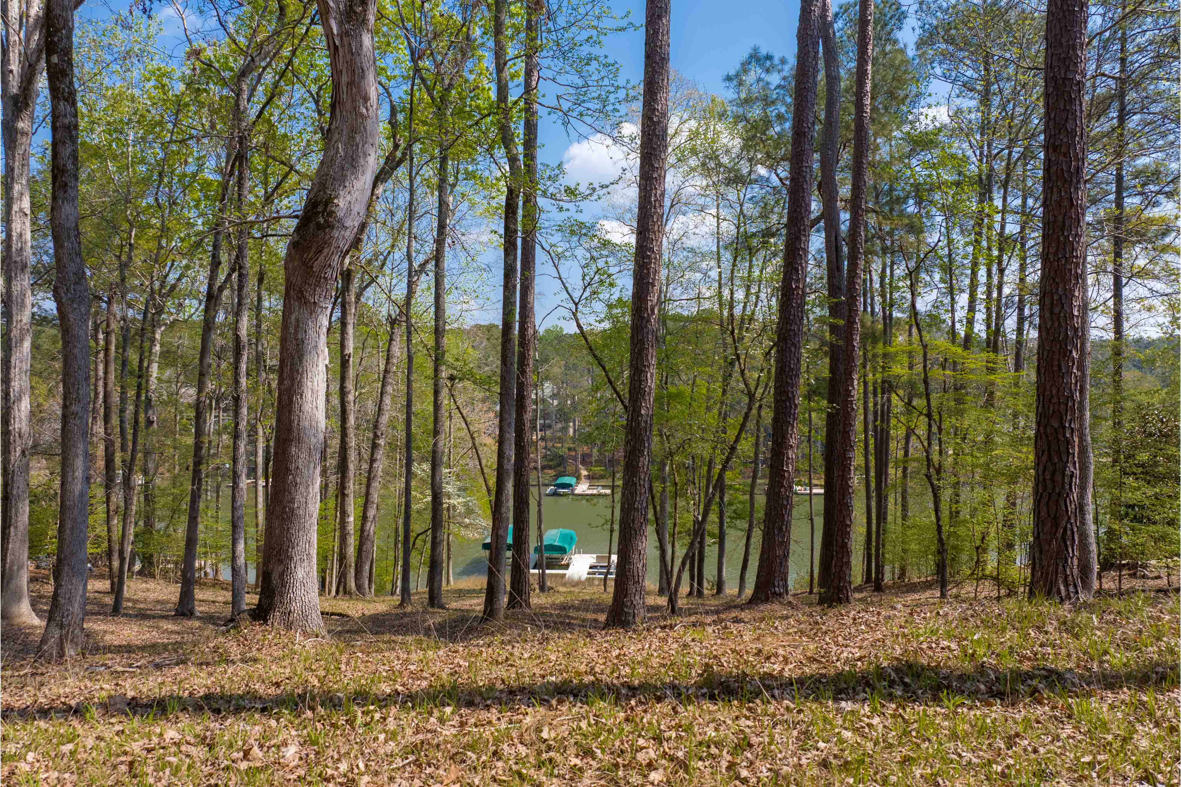 1161 Davison Drive image 7